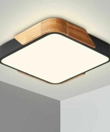 Ceiling Light LED Ceiling Light 24W Ceiling Lamp with Remote Control Adjustable Brightness Bathroom Light Fixture Square Ultra Thin Modern for Home Office Bedroom Living Room Kitchen Balcony Corridor,