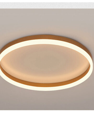 Led Ceiling Light Gold, Î¦30CM Round Ceiling Lamp Minimalist Modern Ceiling Light For Kitchen, Hallway, Office, Porch Warm White