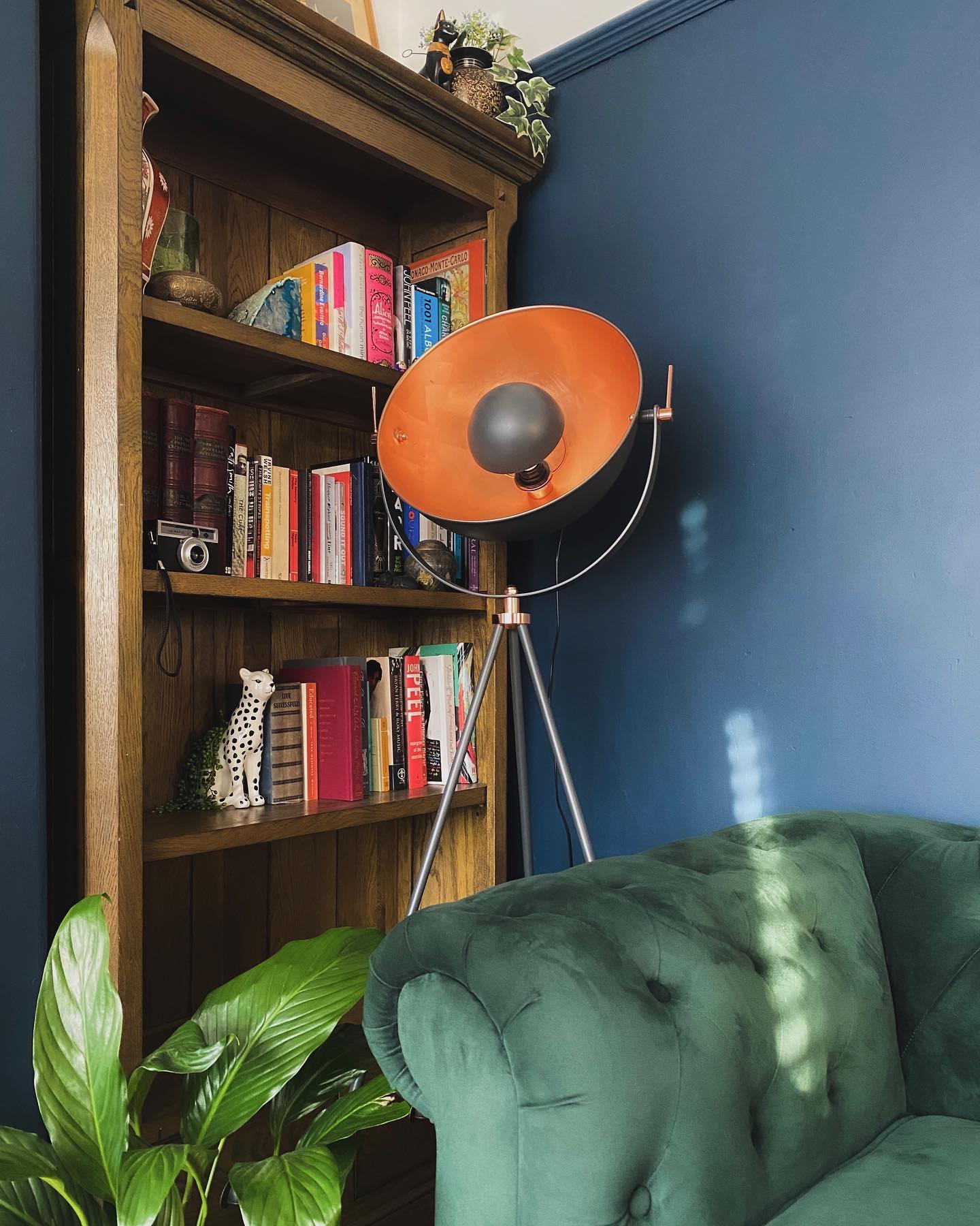 CANTERBURY Tall Bookcase Natural Solid Oak - Image 8