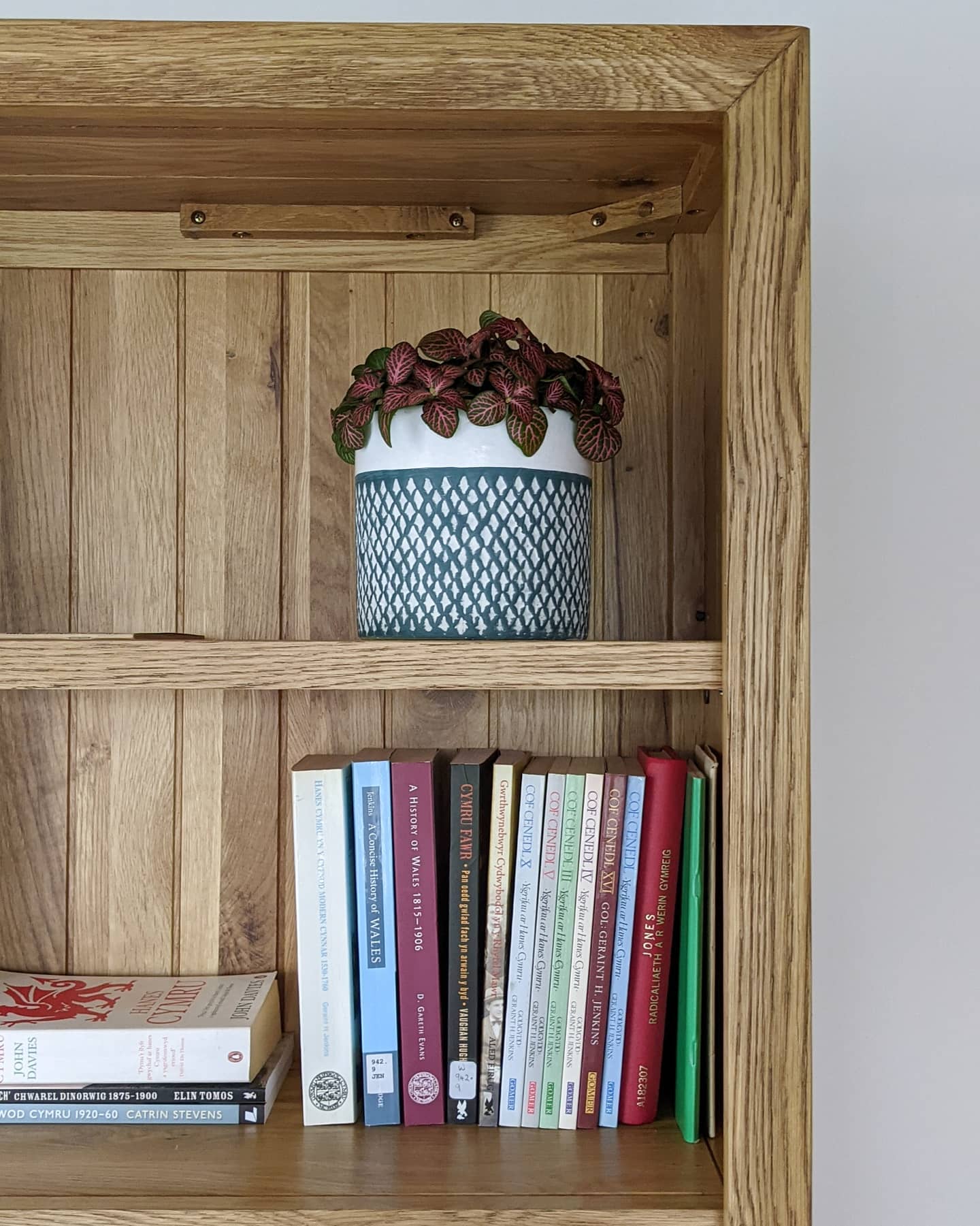 PARQUET Tall Bookcase Brushed & Glazed Solid Oak - Image 14