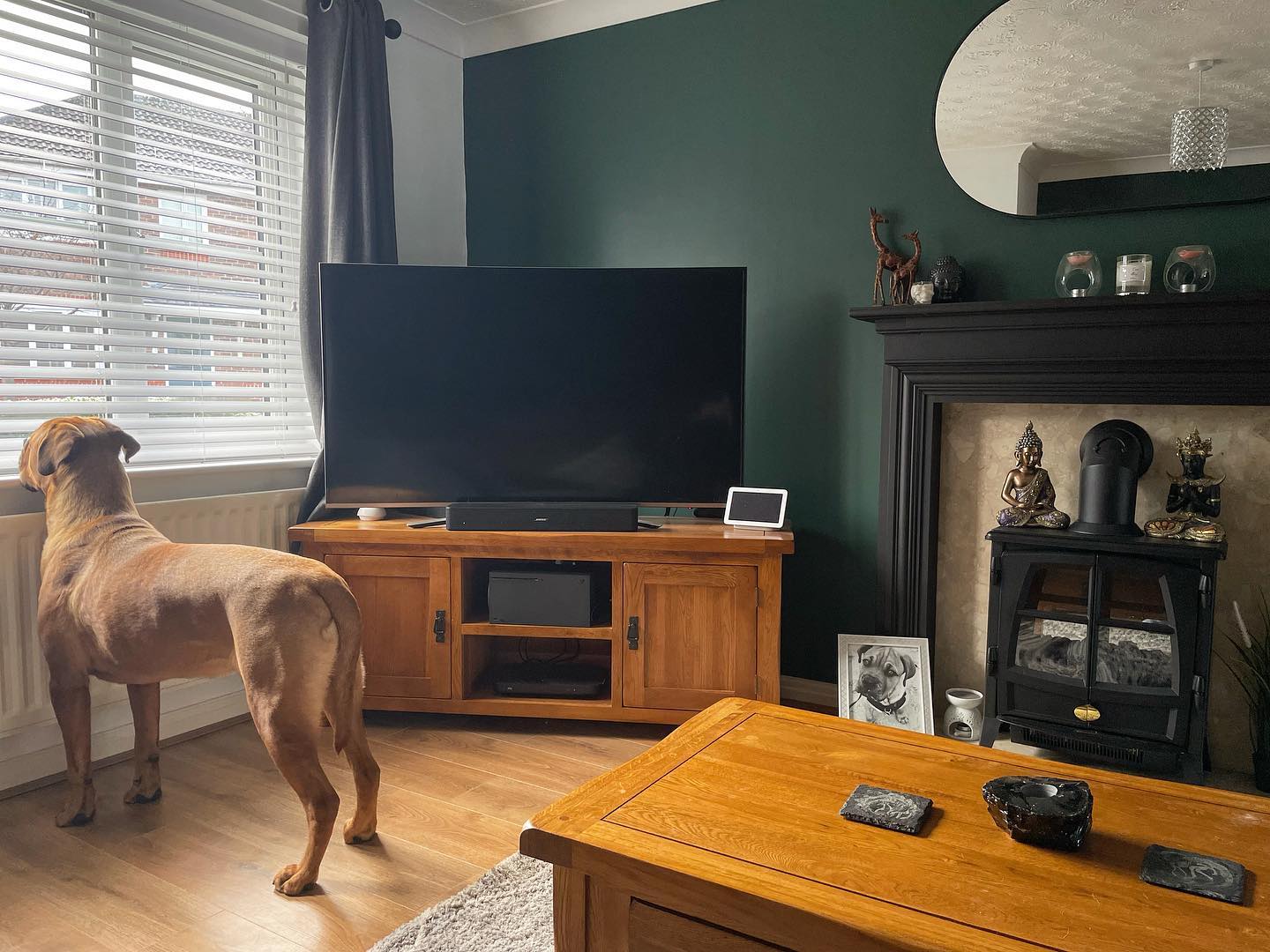 ORIGINAL RUSTIC Large TV Unit Rustic Solid Oak - Image 9